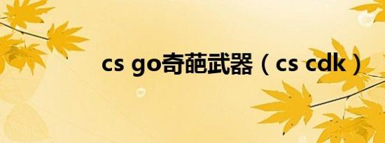 cs go奇葩武器（cs cdk）