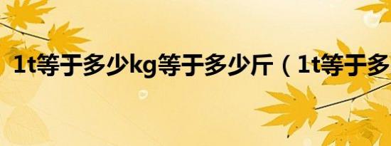 1t等于多少kg等于多少斤（1t等于多少kg）