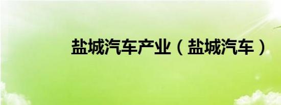 盐城汽车产业（盐城汽车）
