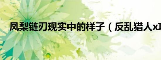 凤梨链刃现实中的样子（反乱猎人x攻略）