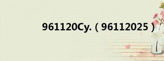 961120Cy.（96112025）