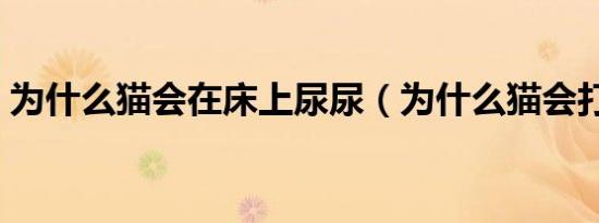 为什么猫会在床上尿尿（为什么猫会打呼噜）