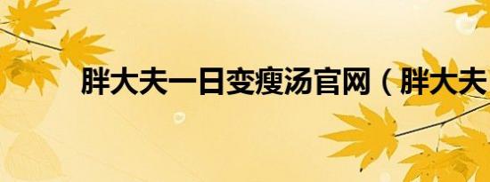 胖大夫一日变瘦汤官网（胖大夫）