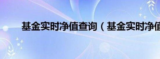 基金实时净值查询（基金实时净值）