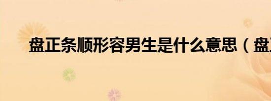 盘正条顺形容男生是什么意思（盘正）