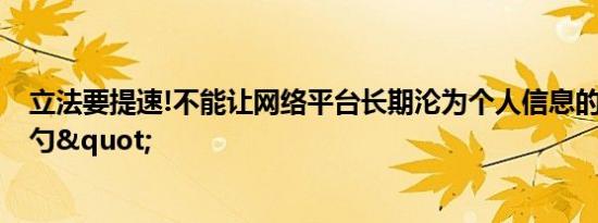 立法要提速!不能让网络平台长期沦为个人信息的"漏勺"