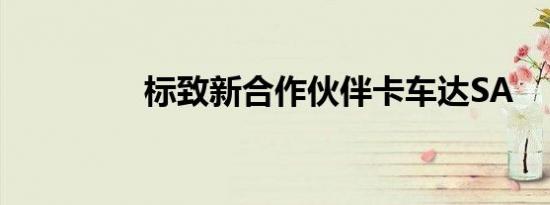 标致新合作伙伴卡车达SA