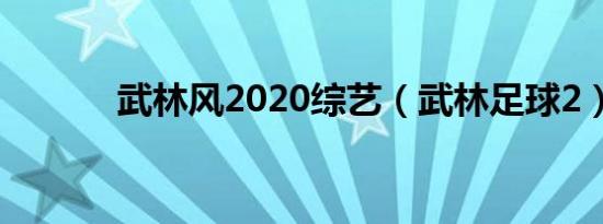 武林风2020综艺（武林足球2）