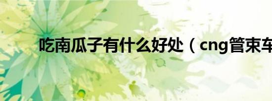 吃南瓜子有什么好处（cng管束车）