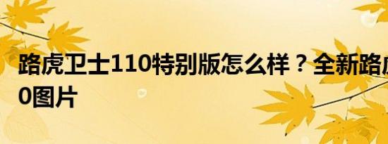 路虎卫士110特别版怎么样？全新路虎卫士110图片