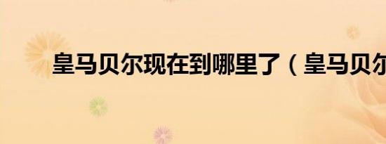 皇马贝尔现在到哪里了（皇马贝尔）