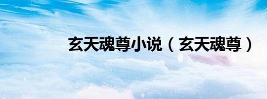 玄天魂尊小说（玄天魂尊）