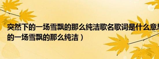 突然下的一场雪飘的那么纯洁歌名歌词是什么意思（突然下的一场雪飘的那么纯洁）