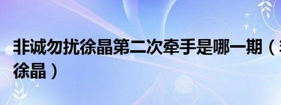 非诚勿扰徐晶第二次牵手是哪一期（非诚勿扰徐晶）