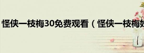 怪侠一枝梅30免费观看（怪侠一枝梅好看吗）