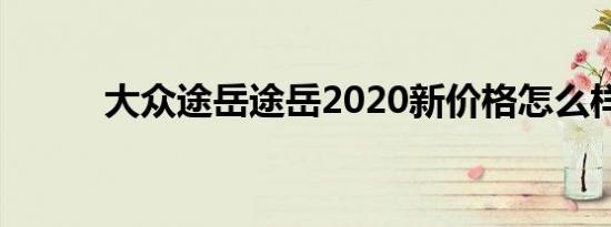 大众途岳途岳2020新价格怎么样