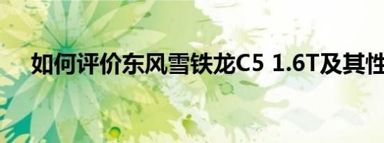 如何评价东风雪铁龙C5 1.6T及其性能？