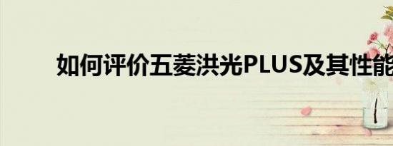 如何评价五菱洪光PLUS及其性能？
