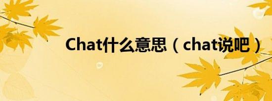 Chat什么意思（chat说吧）