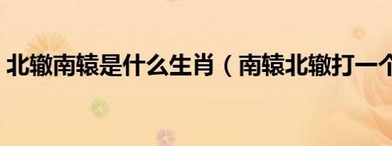 北辙南辕是什么生肖（南辕北辙打一个生肖）
