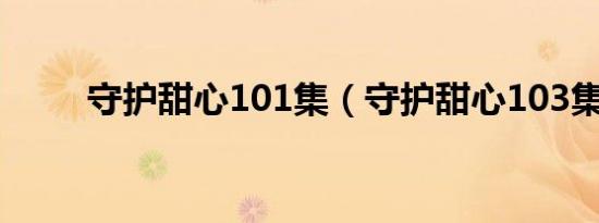 守护甜心101集（守护甜心103集）