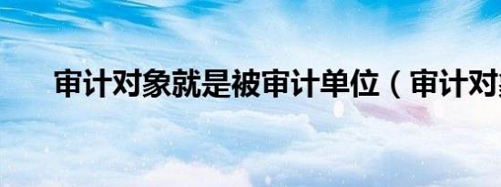 审计对象就是被审计单位（审计对象）