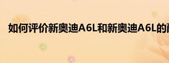 如何评价新奥迪A6L和新奥迪A6L的配置？