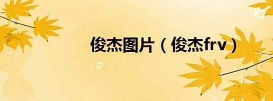 俊杰图片（俊杰frv）