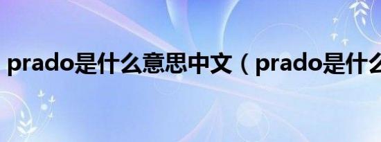 prado是什么意思中文（prado是什么意思）