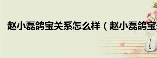 赵小磊鸽宝关系怎么样（赵小磊鸽宝录音）