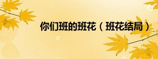 你们班的班花（班花结局）