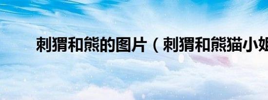 刺猬和熊的图片（刺猬和熊猫小姐）