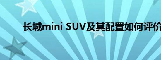 长城mini SUV及其配置如何评价？