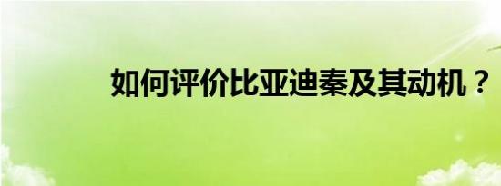 如何评价比亚迪秦及其动机？