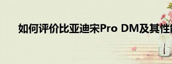 如何评价比亚迪宋Pro DM及其性能？