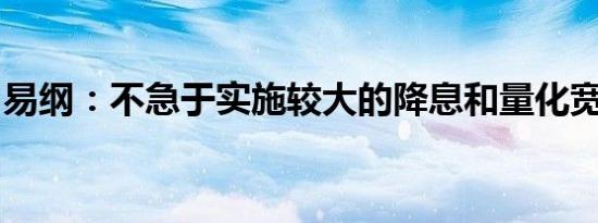 易纲：不急于实施较大的降息和量化宽松政策