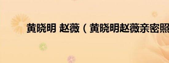 黄晓明 赵薇（黄晓明赵薇亲密照）