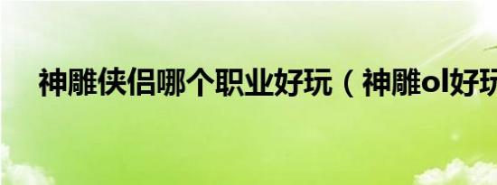 神雕侠侣哪个职业好玩（神雕ol好玩吗）