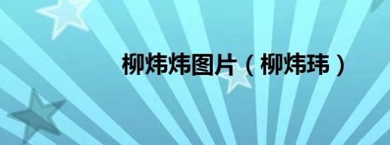 柳炜炜图片（柳炜玮）