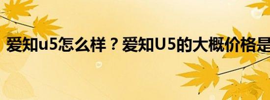 爱知u5怎么样？爱知U5的大概价格是多少？