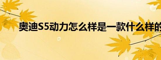 奥迪S5动力怎么样是一款什么样的车