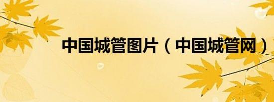 中国城管图片（中国城管网）