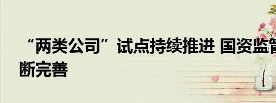 “两类公司”试点持续推进 国资监管体制不断完善