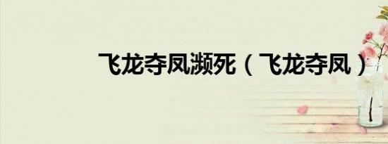 飞龙夺凤濒死（飞龙夺凤）