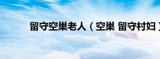 留守空巢老人（空巢 留守村妇）