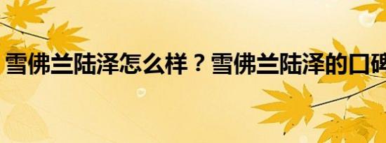 雪佛兰陆泽怎么样？雪佛兰陆泽的口碑如何？