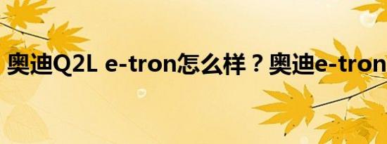 奥迪Q2L e-tron怎么样？奥迪e-tron的价格