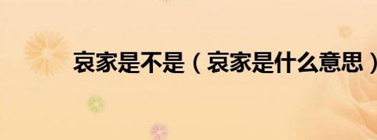 哀家是不是（哀家是什么意思）