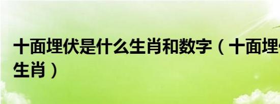 十面埋伏是什么生肖和数字（十面埋伏是什么生肖）