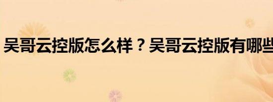吴哥云控版怎么样？吴哥云控版有哪些功能？